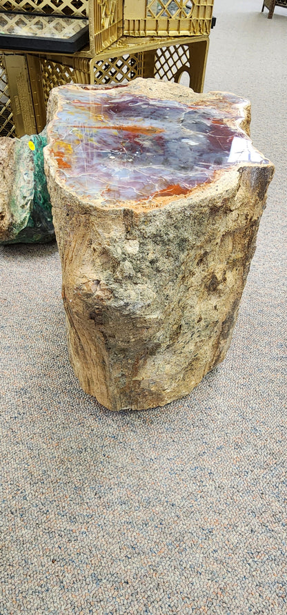 Arizona Rainbow Petrified wood log.